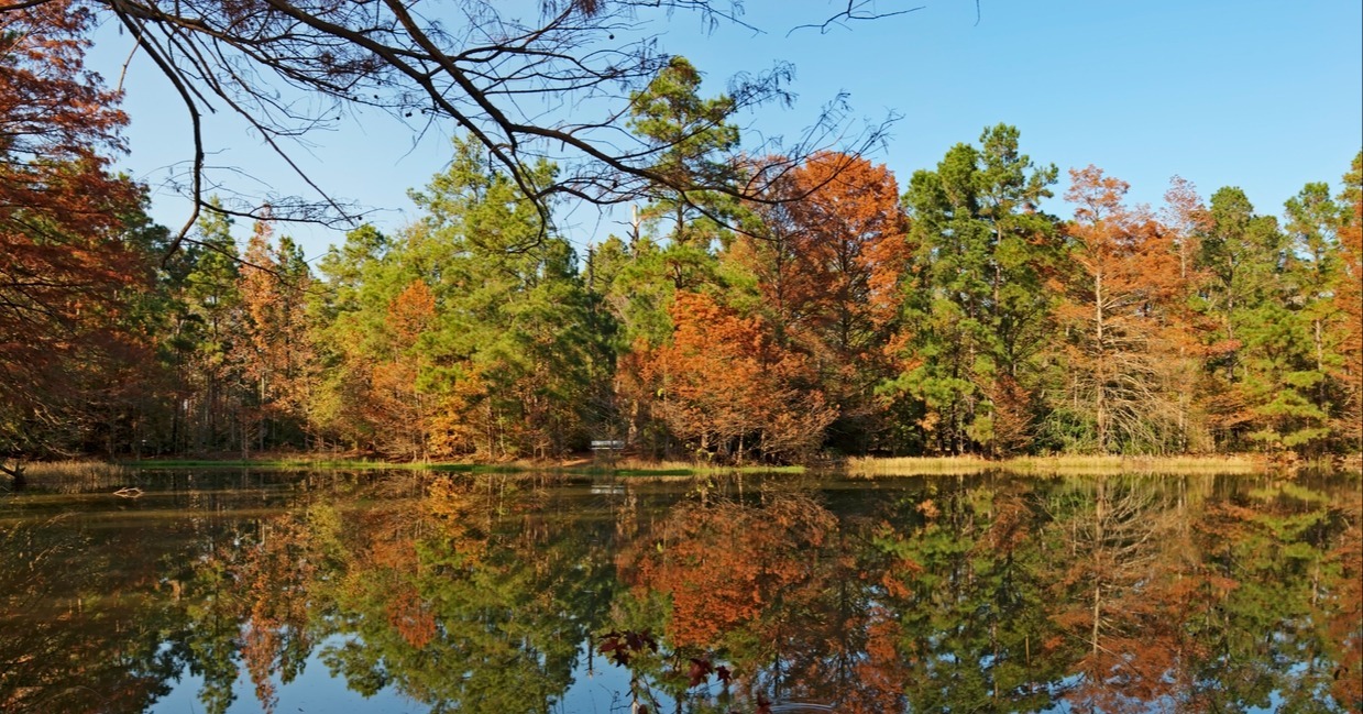 fall texas pond